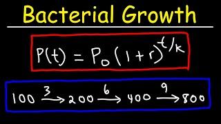 How To Solve Bacteria Growth Math Problems