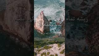 ریشه رنج ها