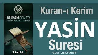 Yasin - yasin suresi yasin dinle oku yasin arapça tükçe meal kuran kuranı kerim diyanet meali