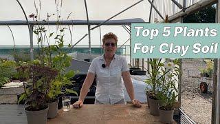 Best Plants For Clay Soils Top 5