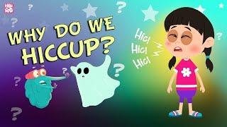 Why Do We Hiccup?  The Dr. Binocs Show  BEST LEARNING VIDEOS For Kids  Peekaboo Kidz