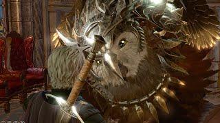 Speaking To Our HUGE Pet Owlbear - Baldurs Gate 3