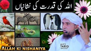 Must watch  Allah Ki Qudrat ki Nishaniya  Mufti Tariq Masood  Islamic Speeches