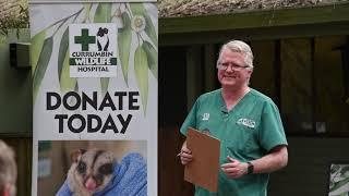 Birds of Prey  Currumbin Wildlife Hospital Vet Talk