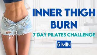 5 min Slim Inner Thighs Pilates Workout  At Home Leg Workout