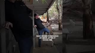 WATCH A Dramatic Brawl between Man & A Kangaroo At An Australian Wildlife Park