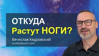 Откуда растут ноги? Фрагмент рекомендаций после мета-сеанса‼️