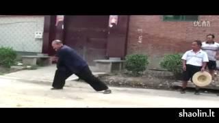 Xu Wu Dao 徐武道 Shaolin nan yuan pao quan 少林南院炮拳