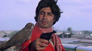 Coolie 1983 - Full Bollywood Movie  Amitabh Bachchan Rishi Kapoor  Blockbuster Hindi Movie