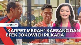 Hubungan Elektabilitas Kaesang Tinggi di Jateng dan Efek Jokowi saat Pilkada - ULASAN ISTANA