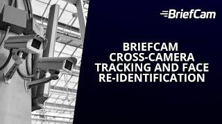 BriefCam Cross-Camera Tracking and Face Re-Identification