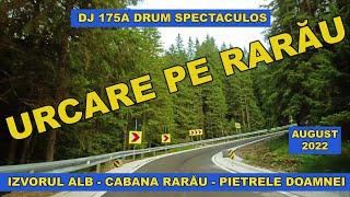 TransRARAU urcare dinspre Campulung Moldovenesc prin Izvorul Alb DJ 175A drum de munte spectaculos