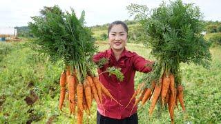 Countryside Life TV Harvest carrot and cooking for children - Yummy carrot recipes