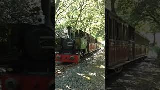 10 Years Ago Tom Rolt departs Dolgoch #short #10yearsago #narrowgauge #steamtrain #railway #wales