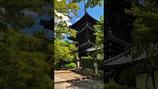 Shinyodo Kyoto Japan  #nature #naturelovers #japan #kyoto #summer #travel