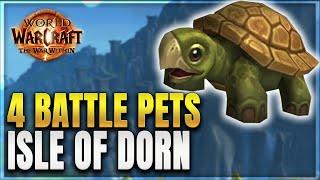 The War Within All 4 Battle Pet Locations & How to Get Them - Isle of Dorn