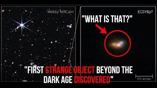 The JWST Has Seen the First Object beyond the Darkness but What It Found Has Left Everyone Baffled
