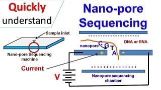 Nanopore sequencing