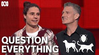 The funniest animal theory youll ever hear  Question Everything  ABC TV + iview