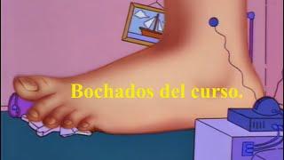 Los Simpsons y Bellas Artes