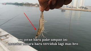 mancing di muara baru dam ijo lagi musim ikan mahal mas bro 17 Oktober 2023 @ahmadsarbini8821