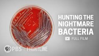 When Antibiotics Dont Work full documentary  FRONTLINE