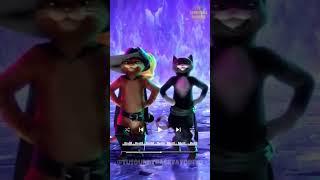 Gato con botas y Kitty bailando al ritmo de Karol G - La vida es una