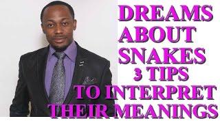 Dreams About Snakes Explained