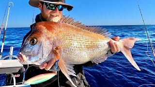 Slow pitch jigging for reef fish catch clean cook