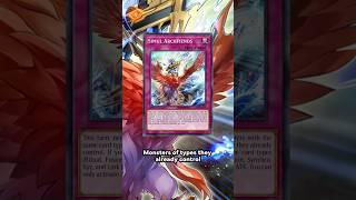 How to Destroy Tenpai Dragon With One Card #yugioh