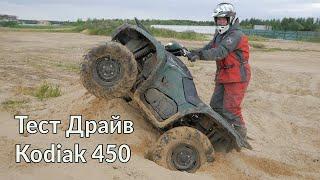 Тест драйв квадроцикла Yamaha Kodiak 450 .