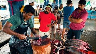 Interesting Best Tuna Fish Cutting Skills Sri Lanka @FishCuttingYT