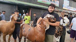 Kurla Main Laga Mela India Ke Sabse Bade Bakre Dekhne Ke Liye  Al Ahmed Goat Farm.