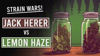 Jack Herer Vs Lemon Haze Strain Wars