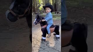 Little Cowboys Giddy up