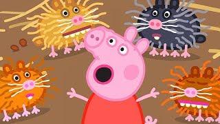 Peppa Pig en Español Episodios  Criaturas Pequeñas  Pepa la cerdita