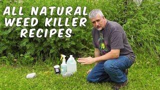 3 Homemade Natural Weed Killer Recipes Tested