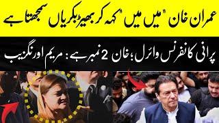 Maryam Aurangzeb Reply to Inran Khan and Bushra Bibi outside Supreme Court  The Wahjoc