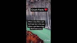 Crush Facts That You Have to Admit...️