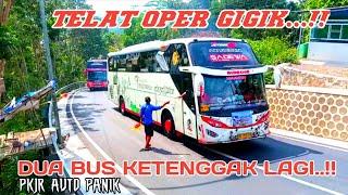 TELAT OPER GIGIK ‼️DUA BUS KETENGGAK DI TANJAKAN  PKJR AUTO LARI