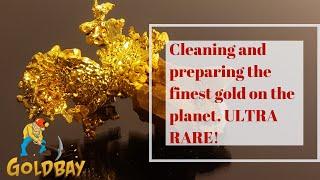 Cleaning and preparing ultra rare world class gold specimens