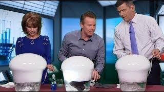 The Best Dry Ice Science Experiment for Halloween with Steve Spangler