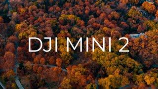 Обзор DJI MINI 2 4K - Сравнение с MINI 1 Лучший из всех DJI?