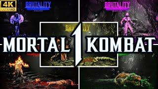 MK1 BRUTALITY KOMBOS FOR *ALL* CHARACTERS AND KAMEOS BASE ROSTER 4K 60 FPS MORTAL KOMBAT 1