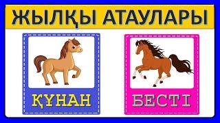 Жылқы төлінің атаулары балаларға 3 4 5 жас құлын тай