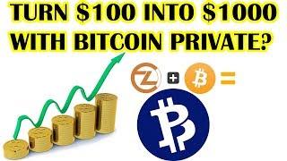 CAN BITCOIN PRIVATE MAKE YOU RICH $BTCP ? TOP COIN FOR 2018?? Bitcoin analysis post crash