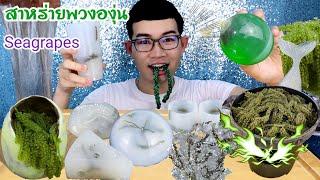 Giant Kyoho Jelly Frozen seaweed #Mukbang #ASMR SEA GRAPES Kyoho Kanti