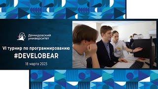 VI турнир по программированию #DEVELOBEAR