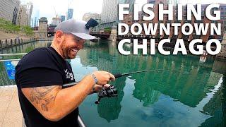 Catching GIANT FISH in Downtown Chicago Riverwalk  Field Trips Illinois