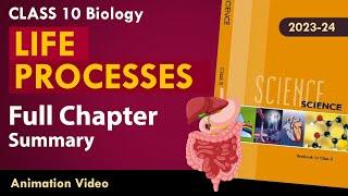 Life process class 10 Animated video  10th BIOLOGY  ncert #science  Chapter 7 Part-1